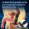 Plug anal vibromasseur prostate 3 plis 7 télescopiques 7 vibration – Image 2