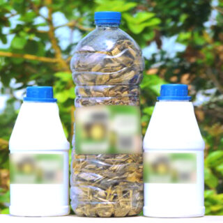 Tisane Équilibre Homme – Relaxation et Maîtrise