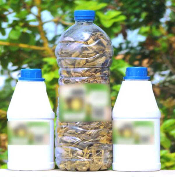 Tisane Équilibre Homme – Relaxation et Maîtrise
